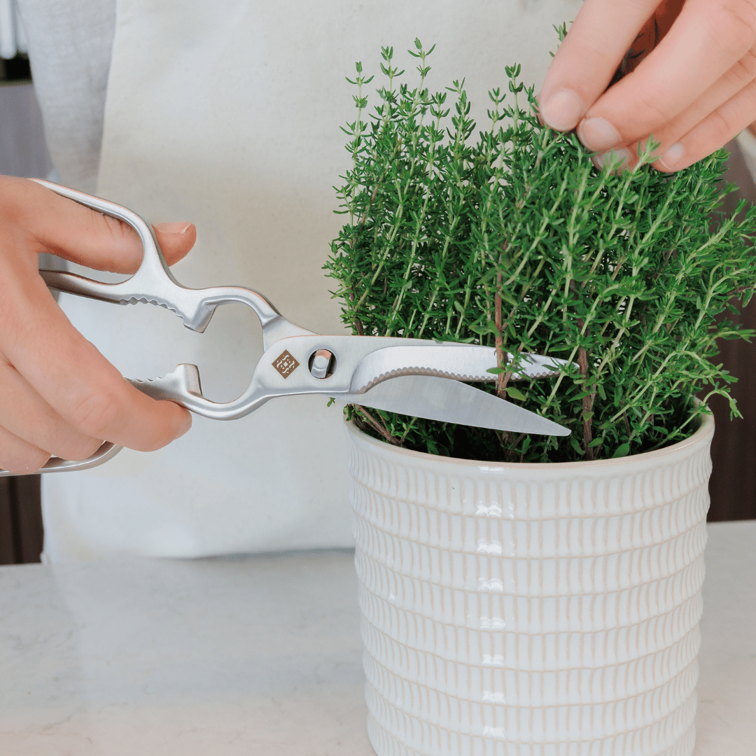 SOPHIOR Luxe RVS Keukenschaar