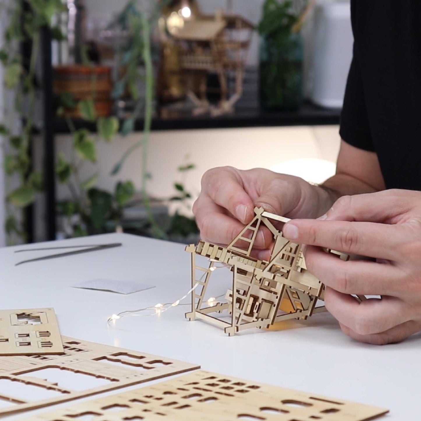 Tropische Uitkijk Vogelhuisje (DIY)